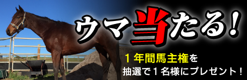 競馬道OnLine×ウマ当たる